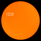 Sunspot 1025, which emerged yesterday to interrupt a string of 51 spotless days, may already be fading away. Photo credit: SOHO/MDI