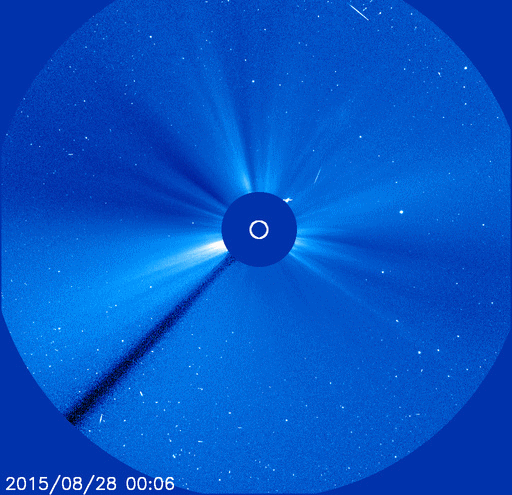 http://www.spaceweather.com/images2015/29aug15/sungrazer_anim2.gif?PHPSESSID=6g9i6714ck26tobuqvdlge0264