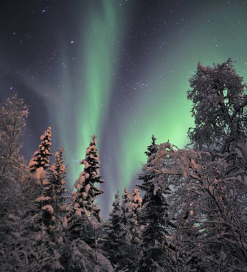http://spaceweather.com/submissions/large_image_popup.php?image_name=Fredrik-Broms-FBroms-1_1265586954.jpg