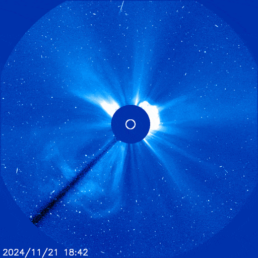 https://www.spaceweather.com/images2024/21nov24/farside_cme_opt.gif