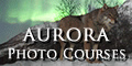 Lapland tours